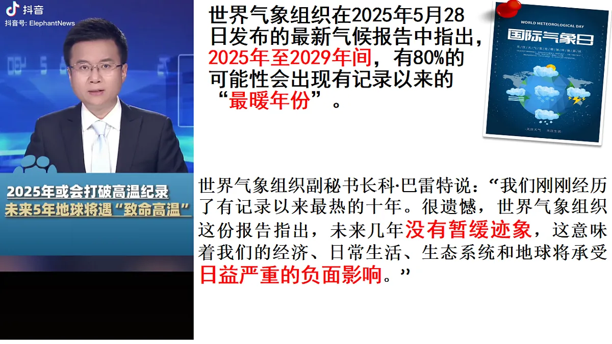 17798668第1页