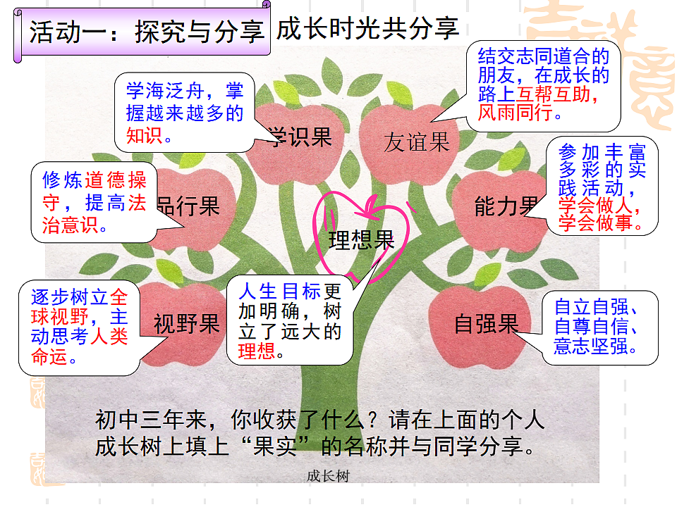 17798695第6页