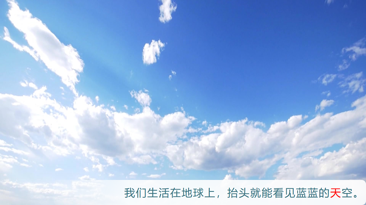 17799041第6页