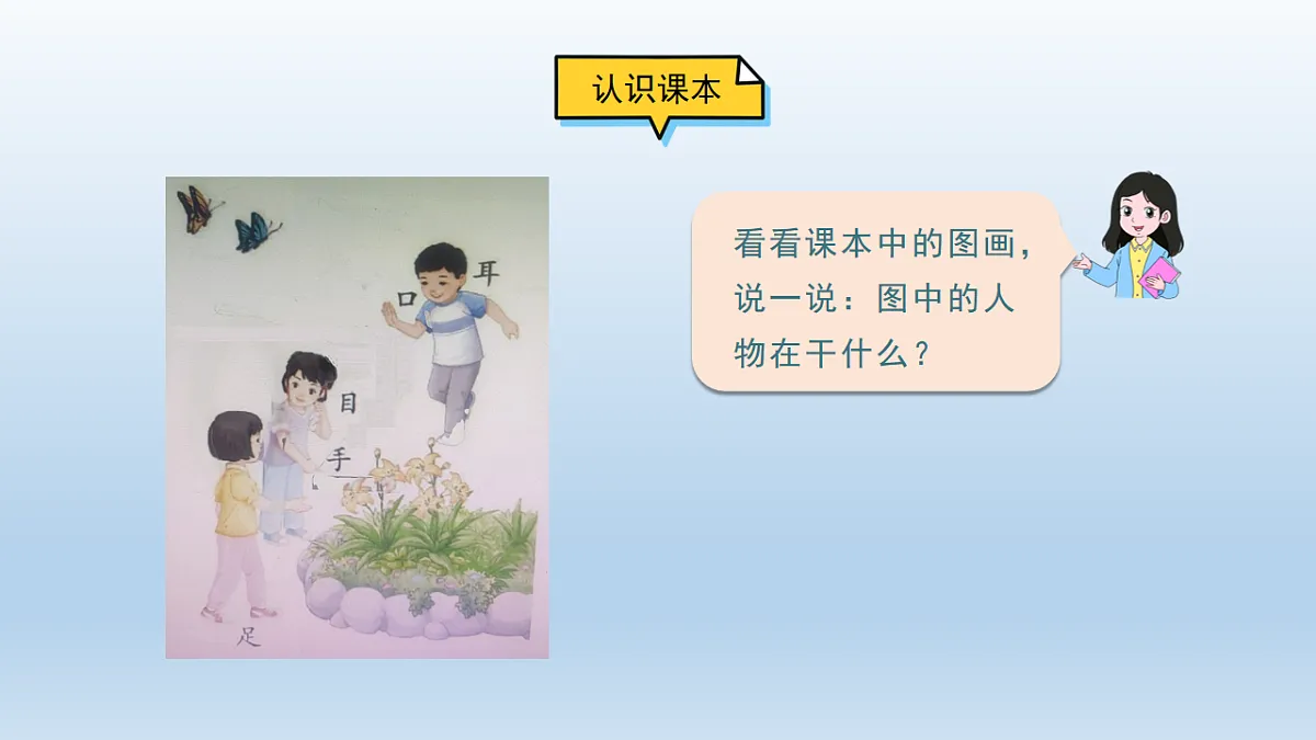 17799043第3页