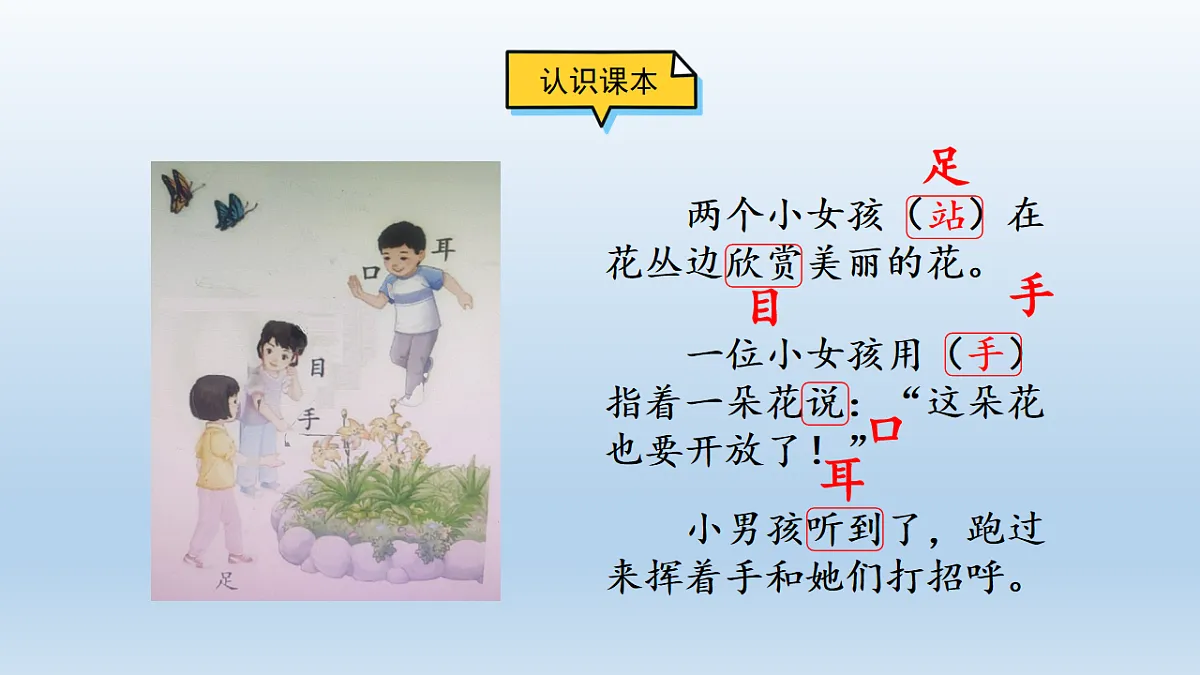 17799043第4页
