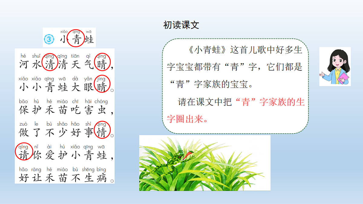 17799065第3页