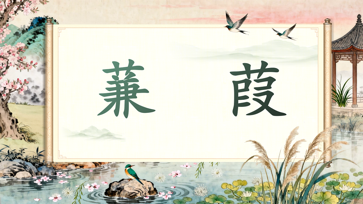 17799335第3页