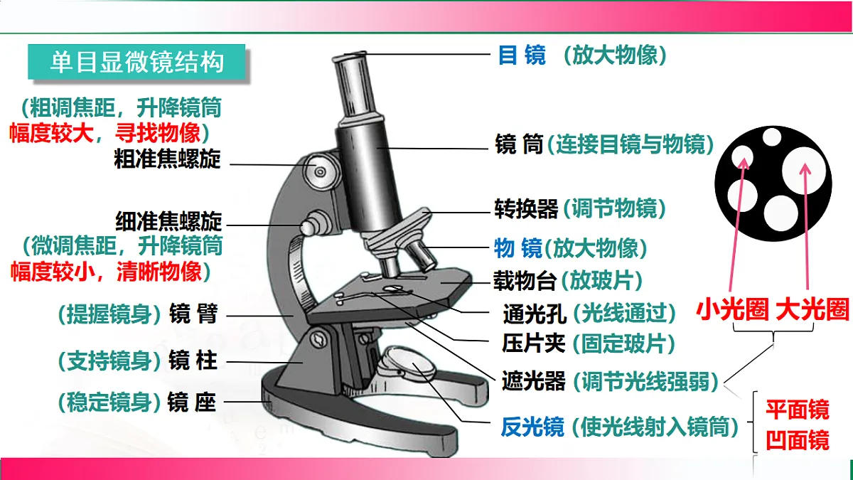 17800550第5页