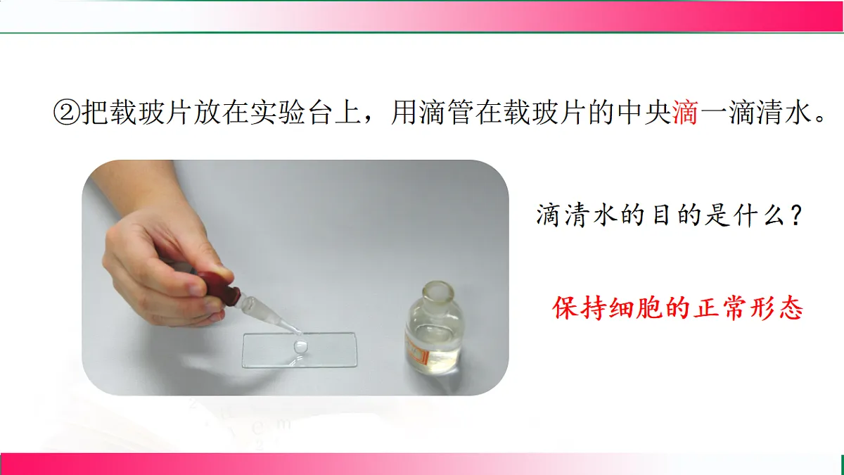 17800552第7页