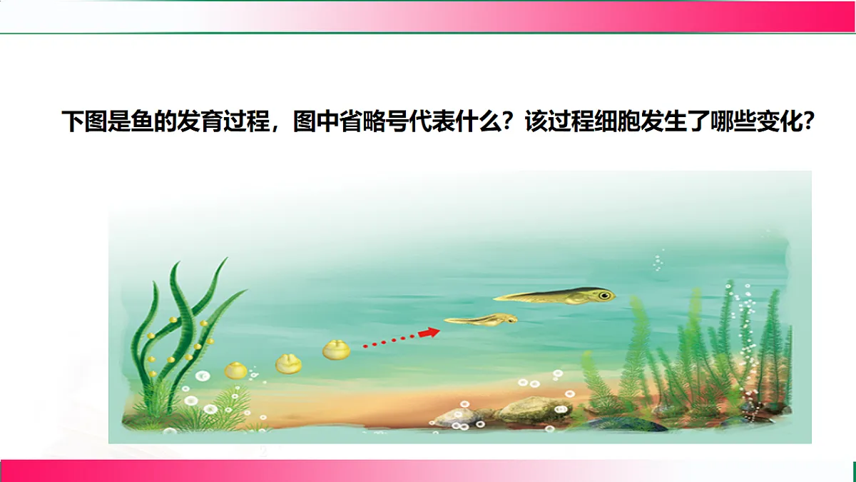 17800555第3页