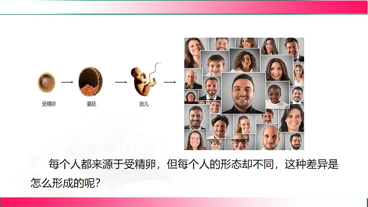 17800555第4页