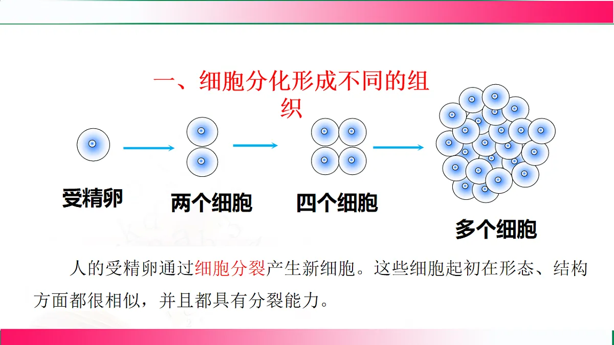 17800555第5页