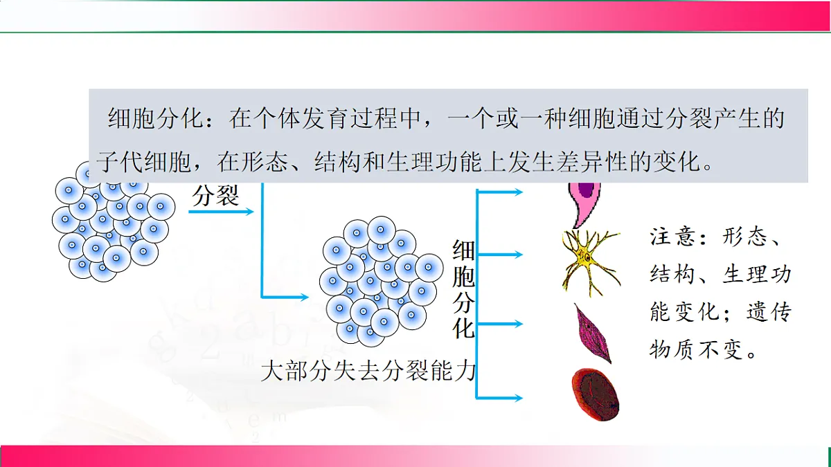 17800555第6页