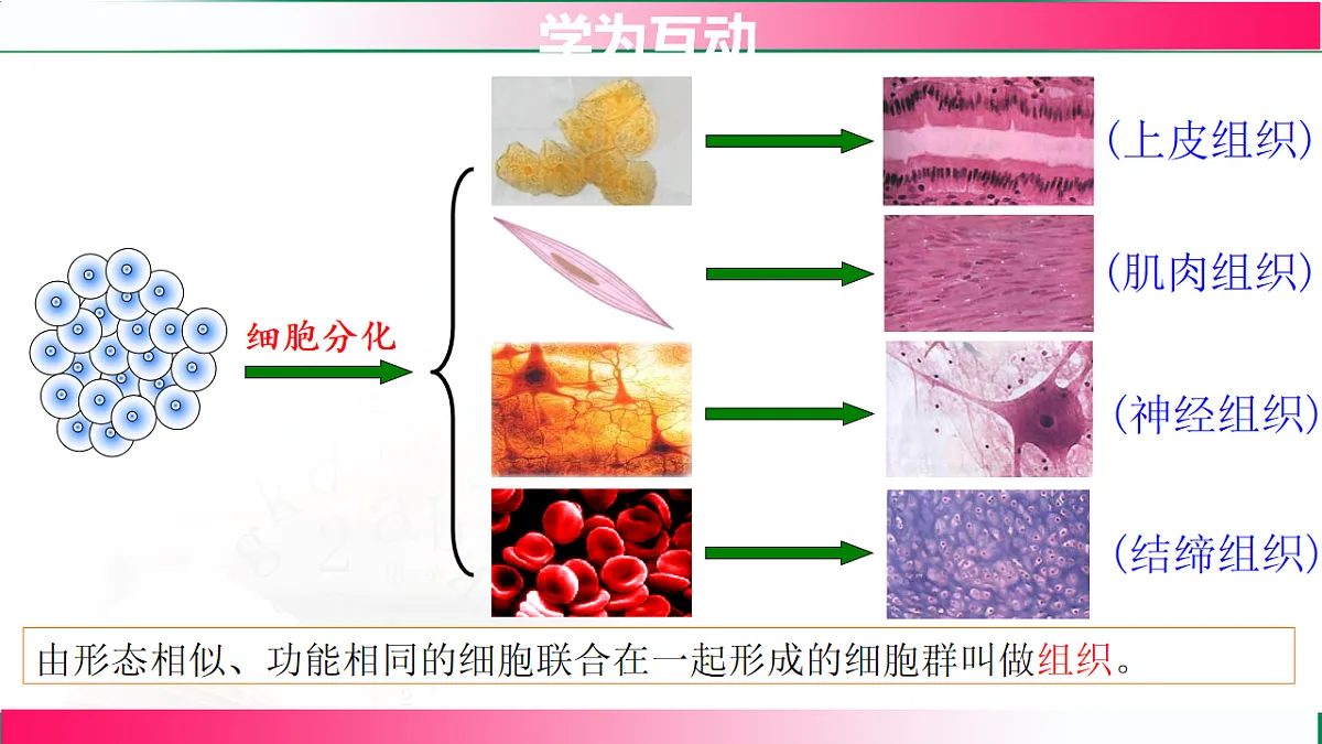 17800555第7页