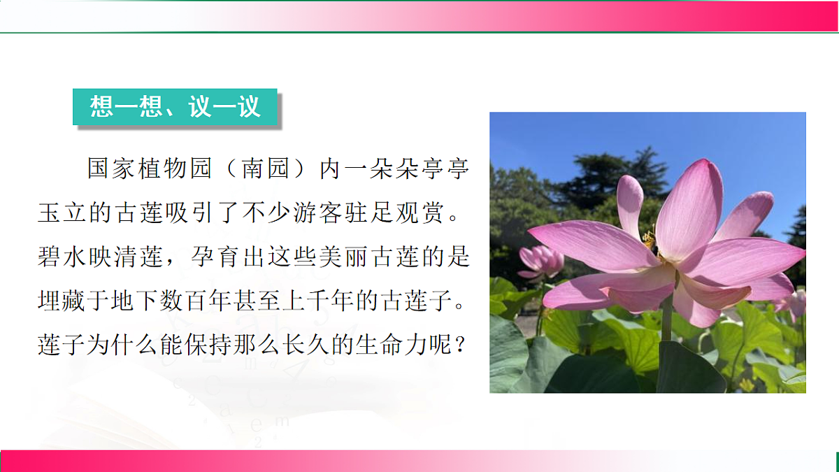 17800558第3页