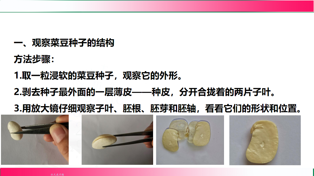 17800558第8页
