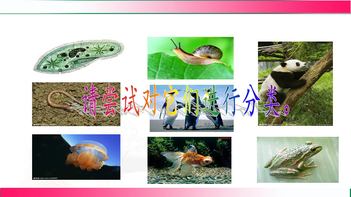 17800559第4页