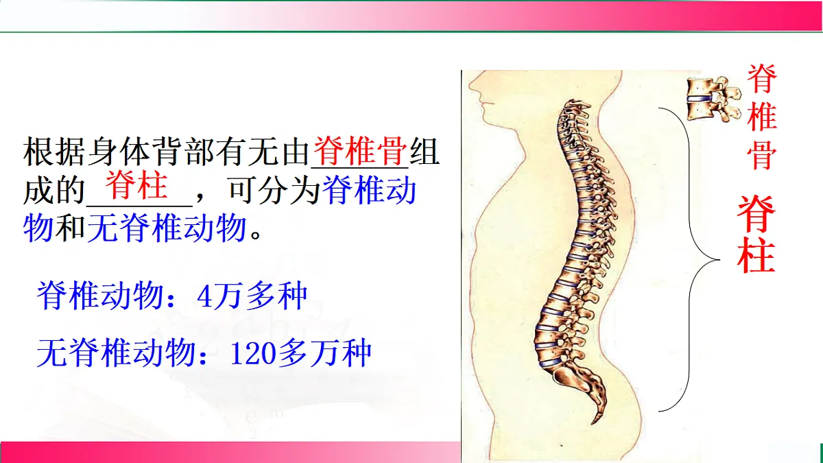 17800559第5页