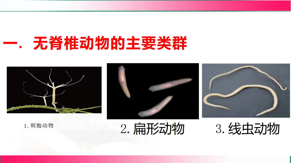 17800559第6页