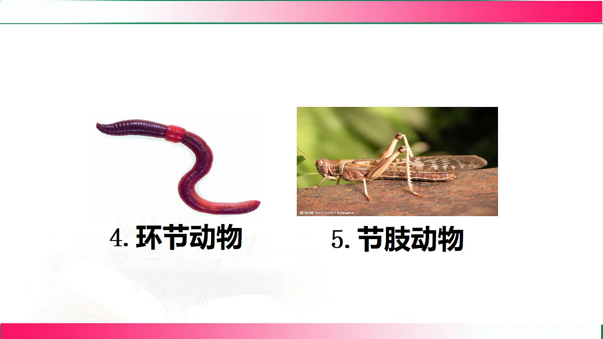 17800559第7页