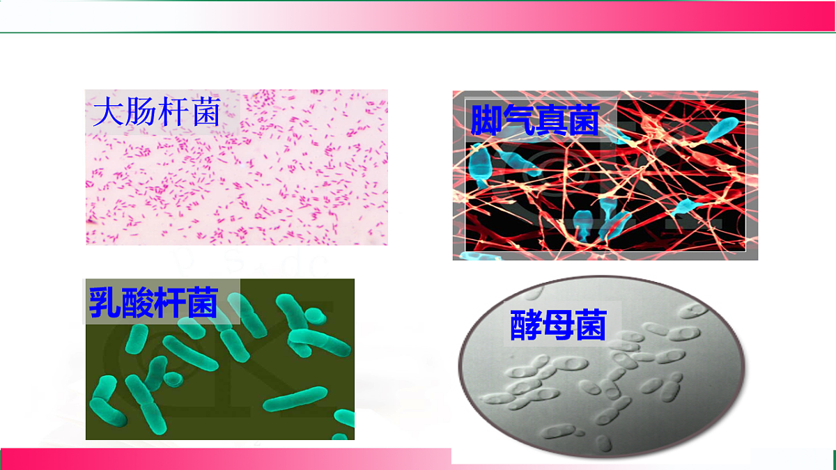 17800562第5页