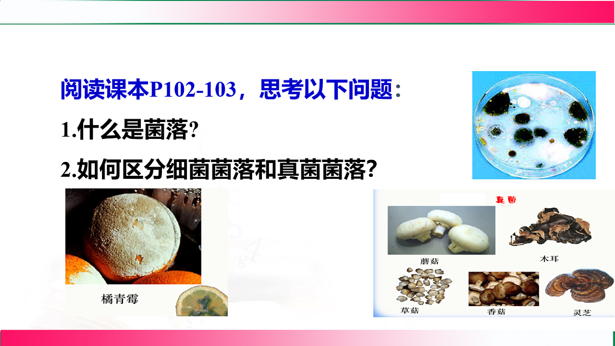 17800562第6页