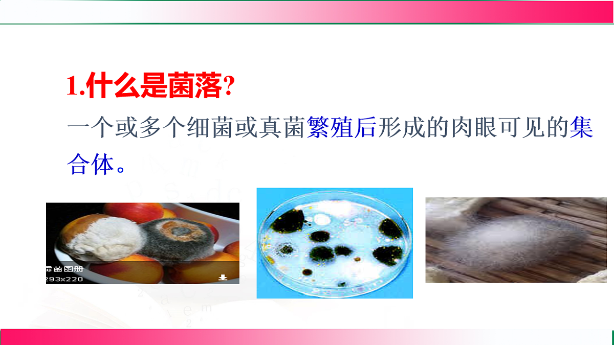 17800562第8页