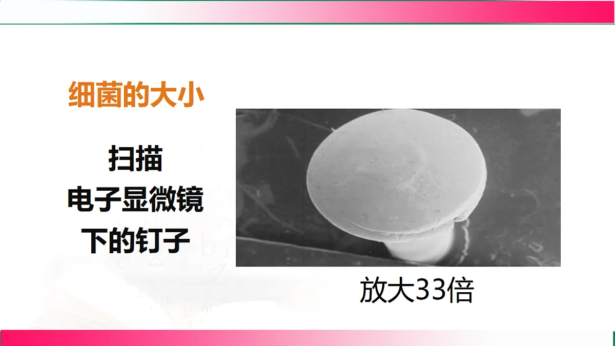 17800563第4页