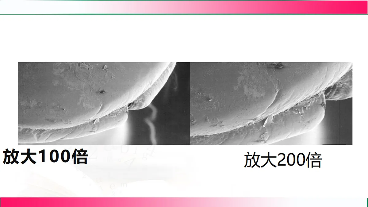 17800563第5页