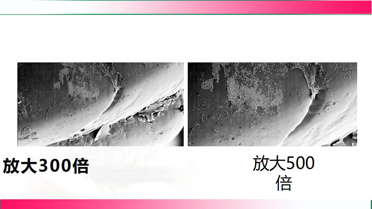 17800563第6页