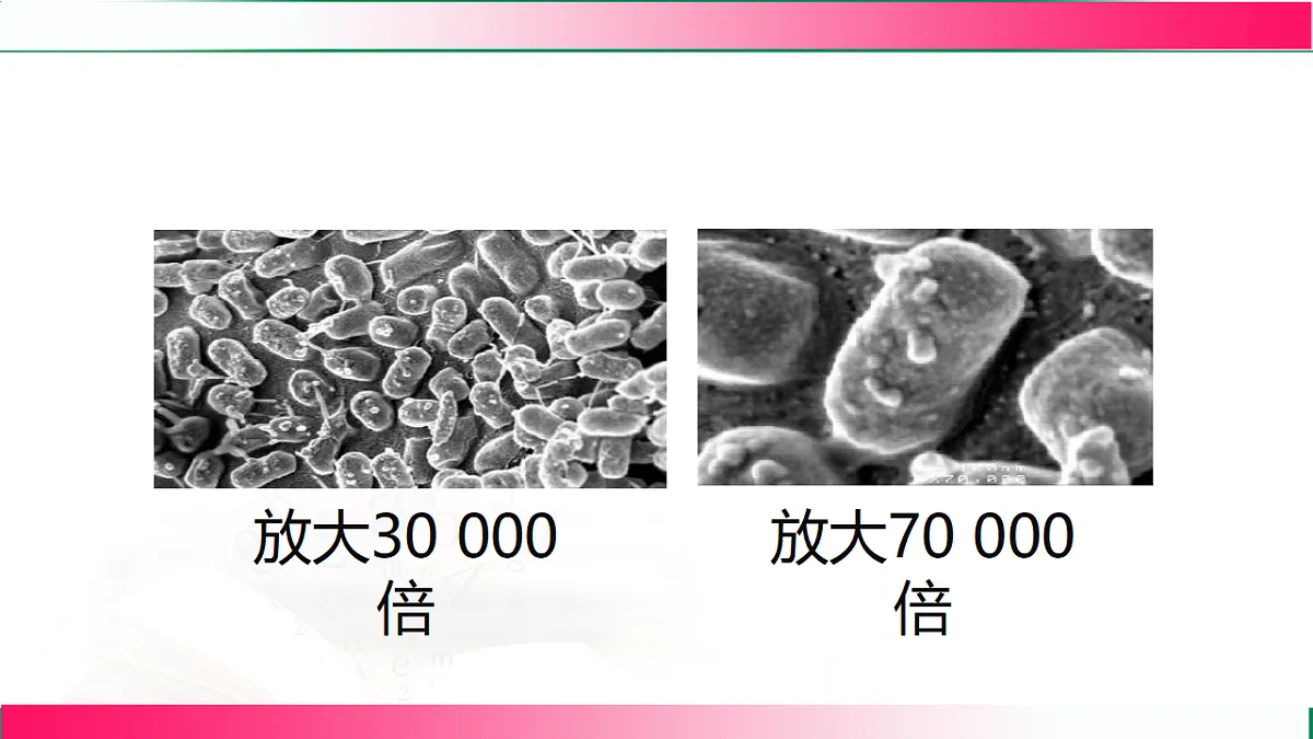 17800563第7页