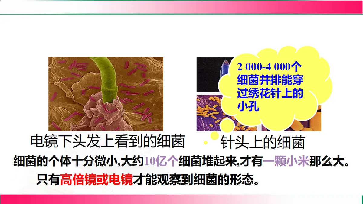 17800563第8页