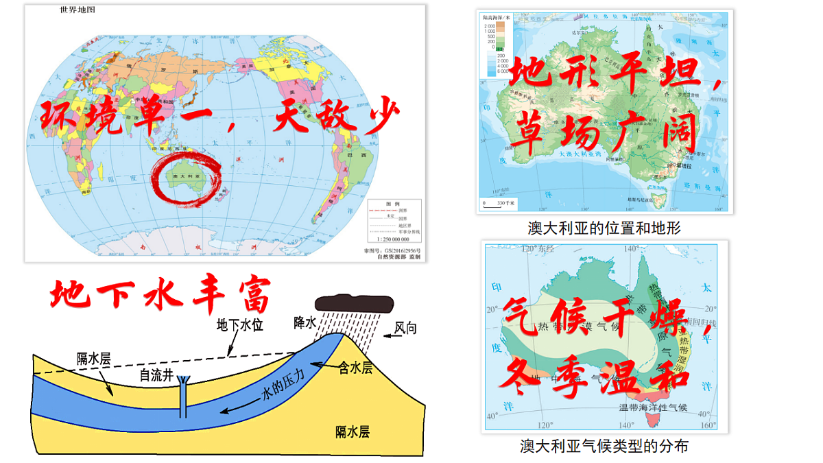 17800660第2页
