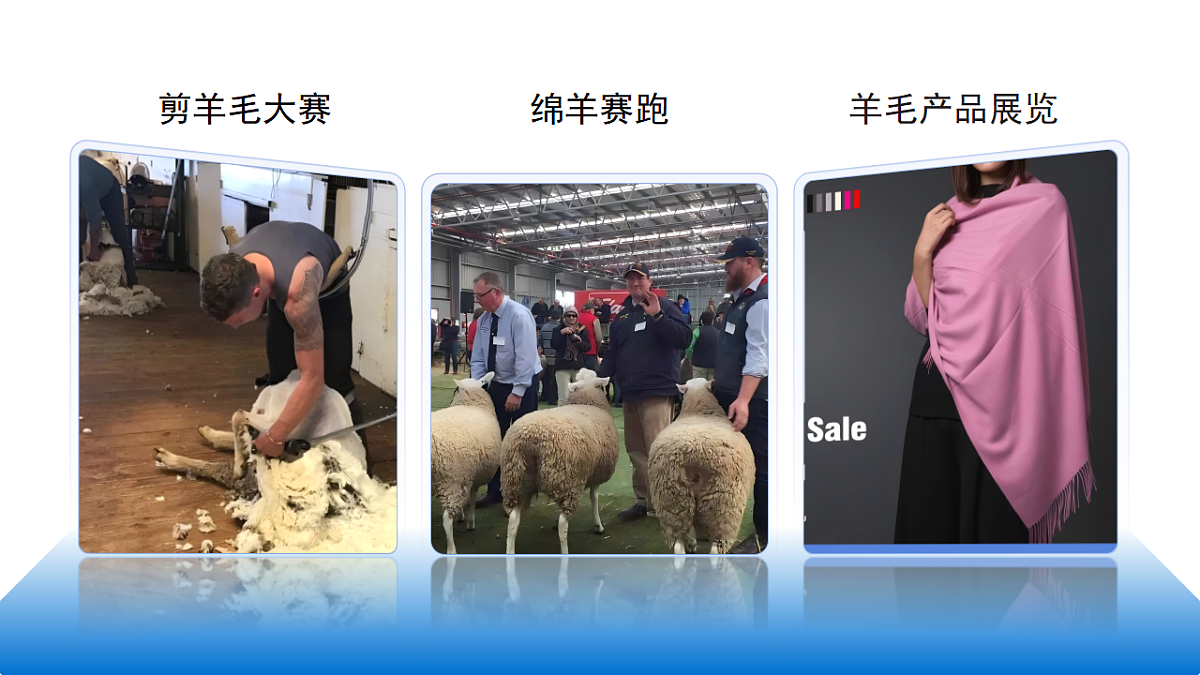 17800660第3页