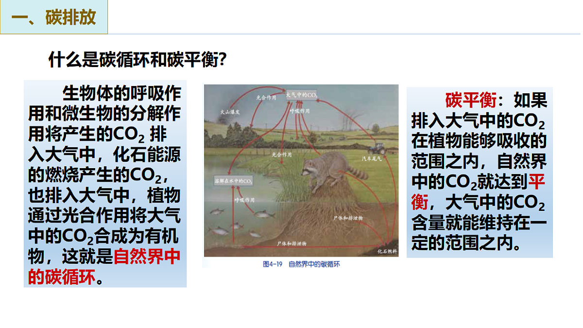 17800668第8页