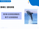 20.2 生态系统的组成（教学课件）-2025-2026学年八年级生物下册（北师大版2024）