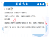 20.2 生态系统的组成（教学课件）-2025-2026学年八年级生物下册（北师大版2024）