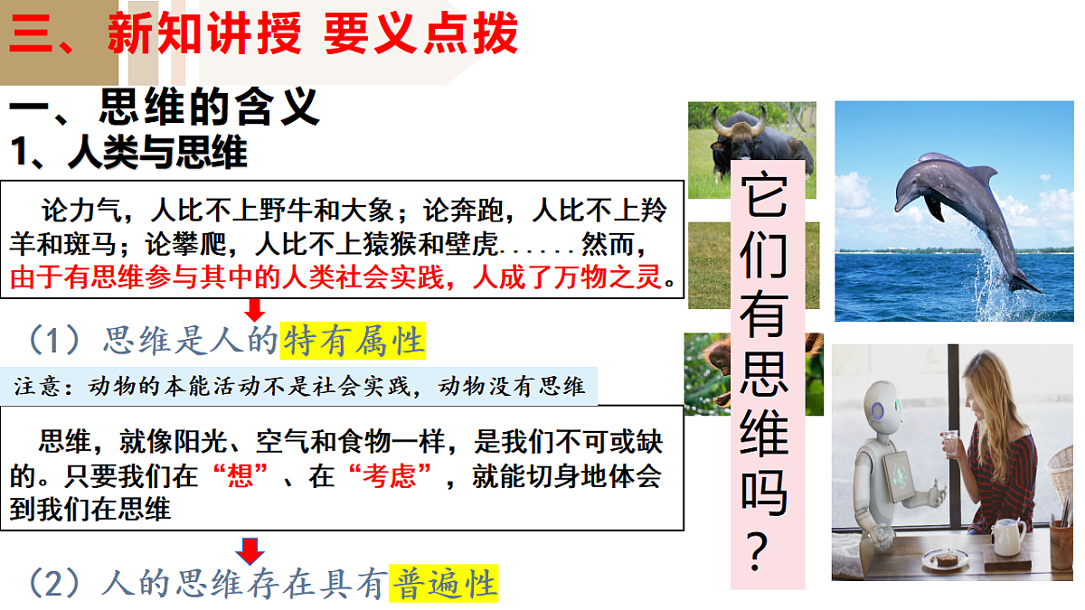 17801087第7页