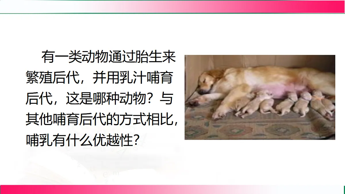 17801264第3页