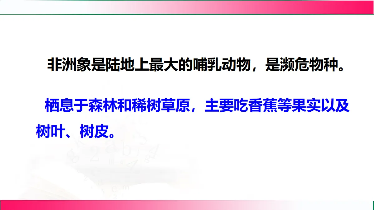17801264第5页