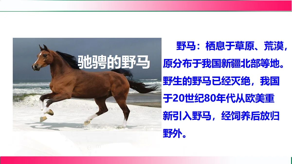 17801264第6页