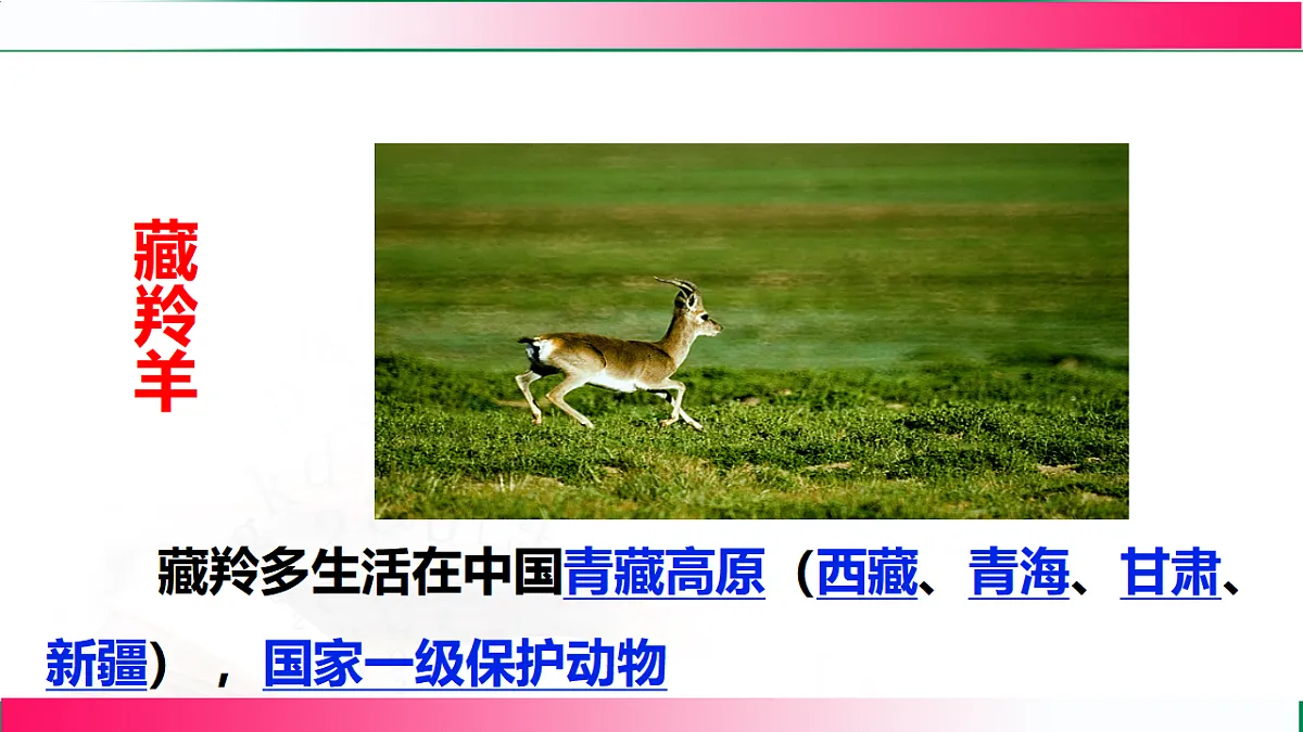 17801264第8页