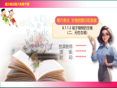 6.1.1.2 被子植物的生殖（二、无性生殖）2025-2026学年2024冀少版八年级生物下册教学同步课件