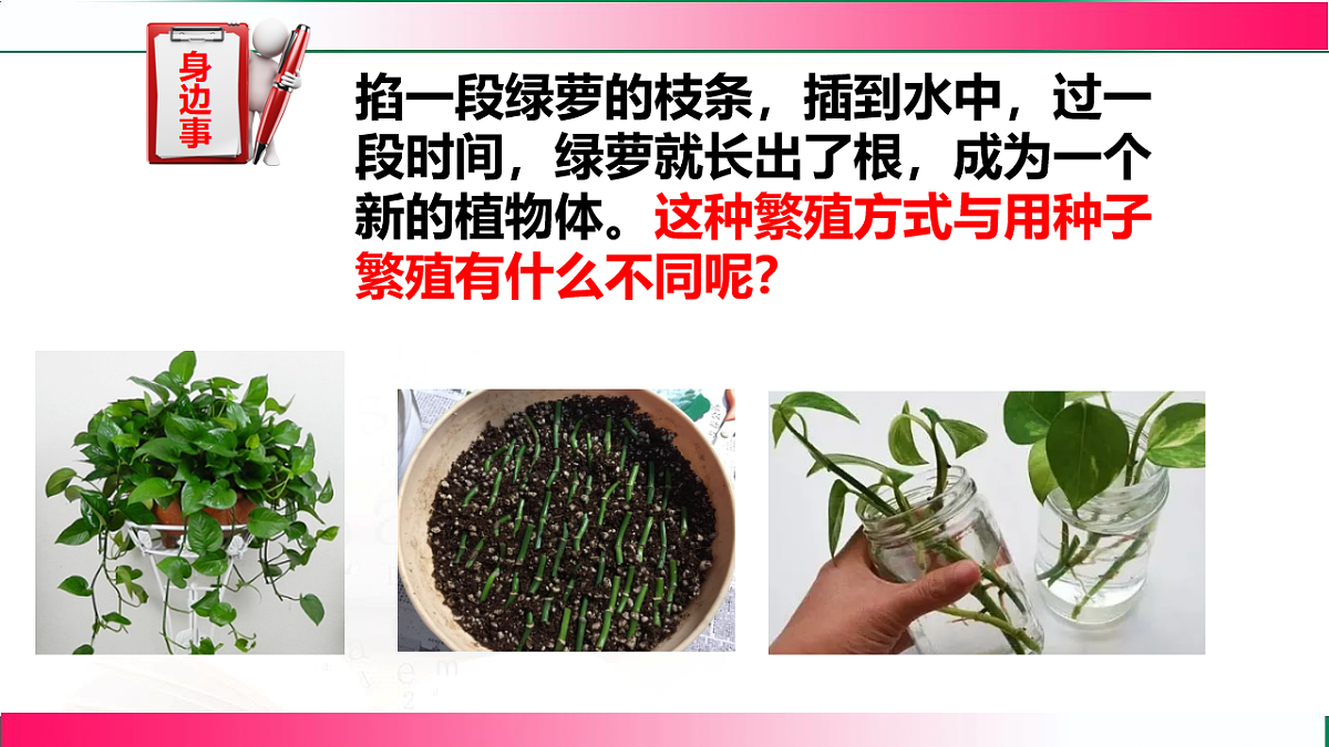 17801429第4页