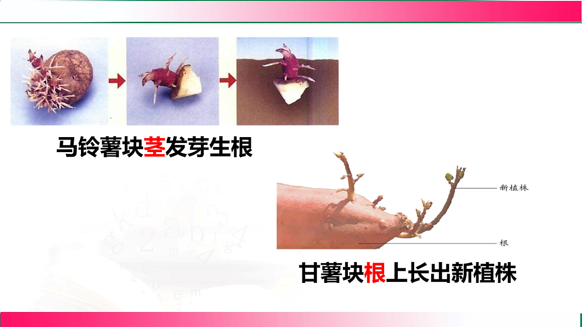 17801429第6页