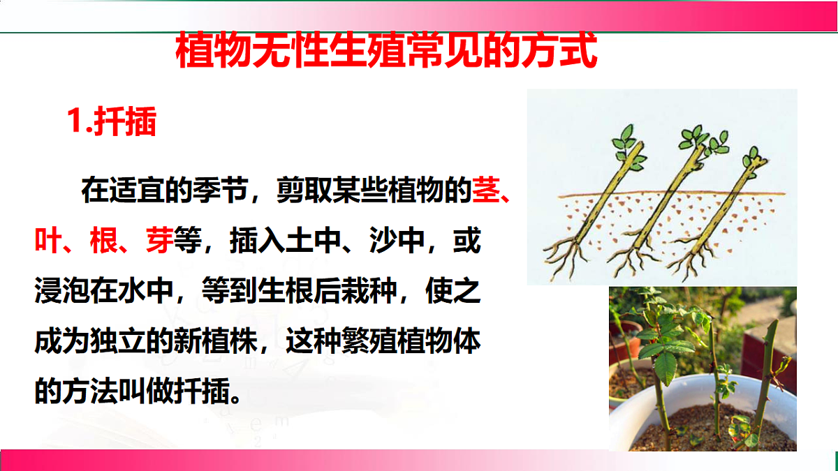 17801429第8页