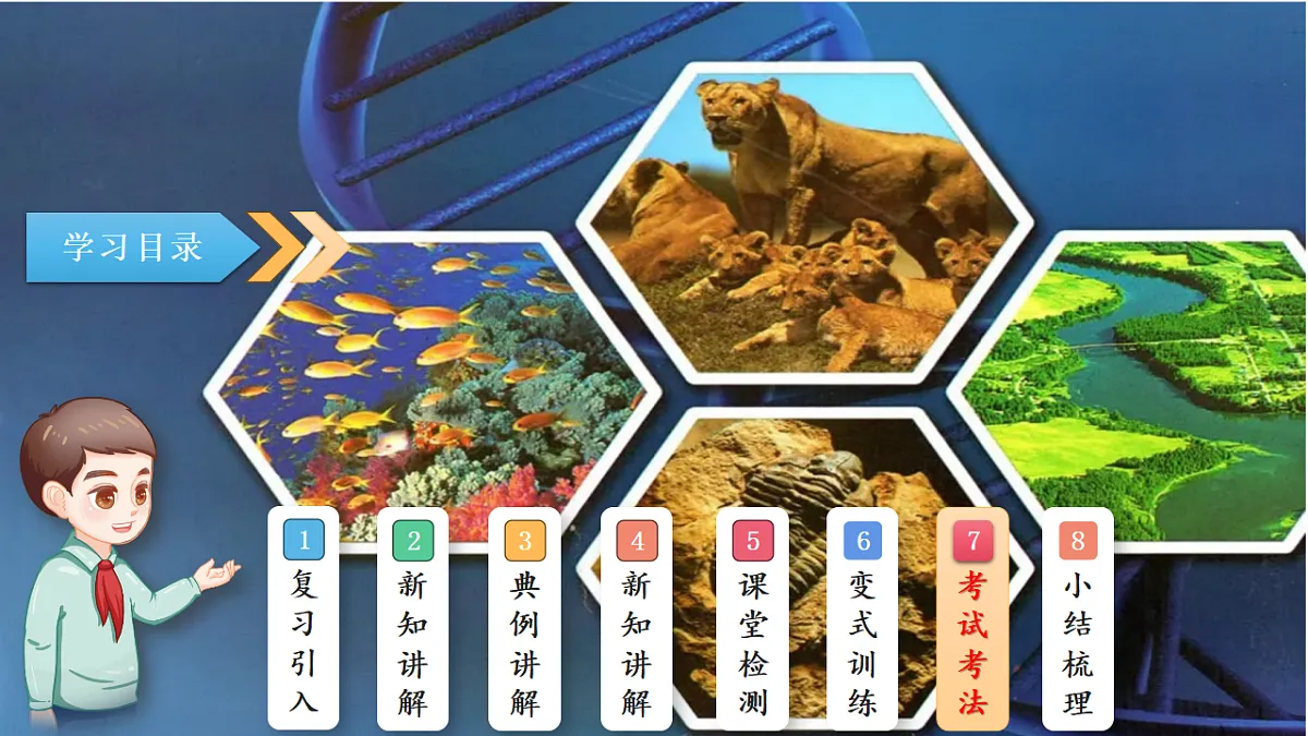 17801430第2页