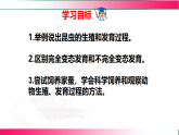 6.1.2.1 动物的生殖和发育（一、昆虫的生殖和发育）2025-2026学年2024冀少版八年级生物下册教学同步课件