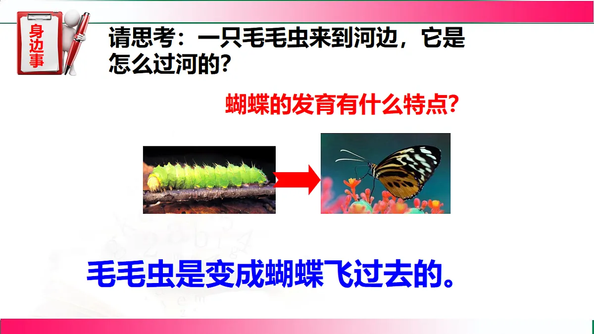 17801430第4页
