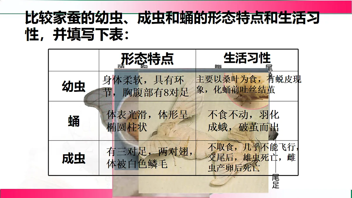 17801430第6页