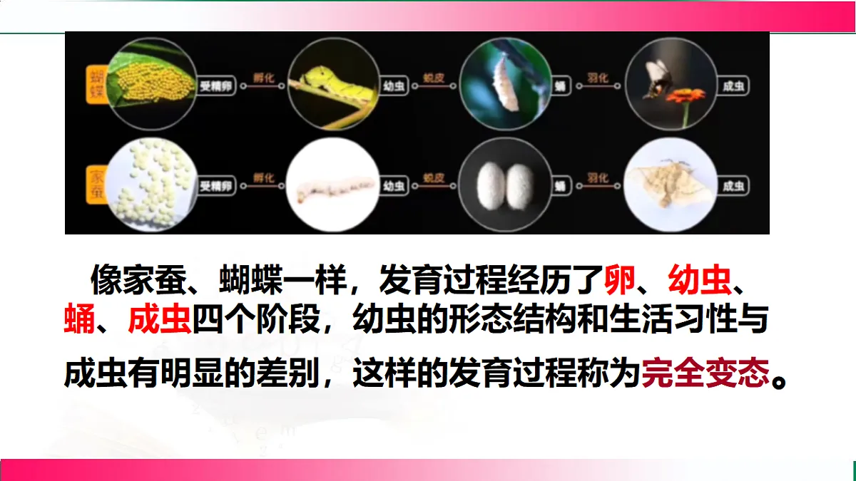 17801430第8页