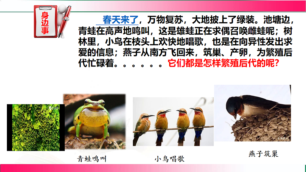 17801431第3页