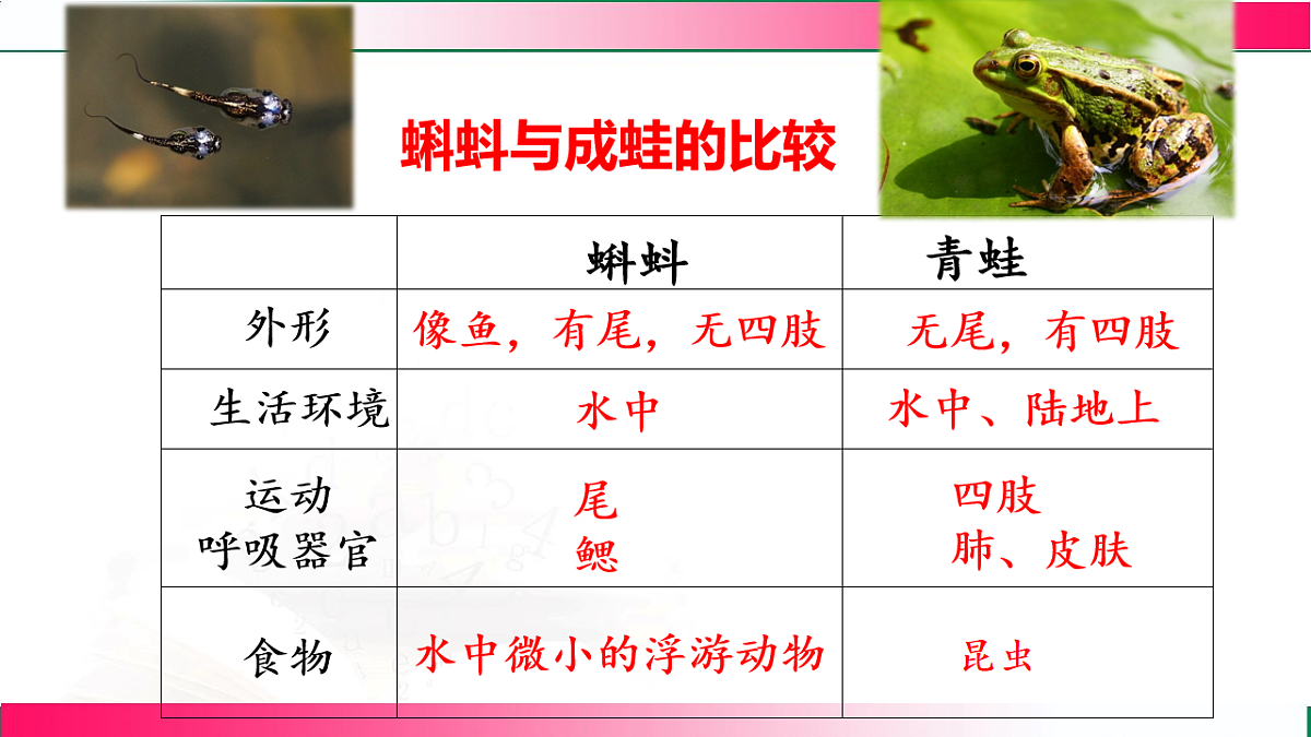 17801431第7页