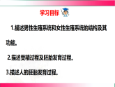 6.1.3 人的生殖和胚胎发育2025-2026学年2024冀少版八年级生物下册教学同步课件